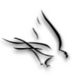 AquilaX Security