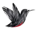 Web Bird Digital