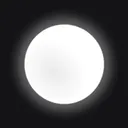 White Circle
